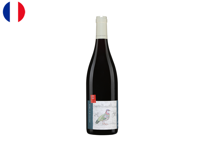 Bourgueil AOC, Noms D'Oiseaux, Domaine de la Chevalerie, 2019