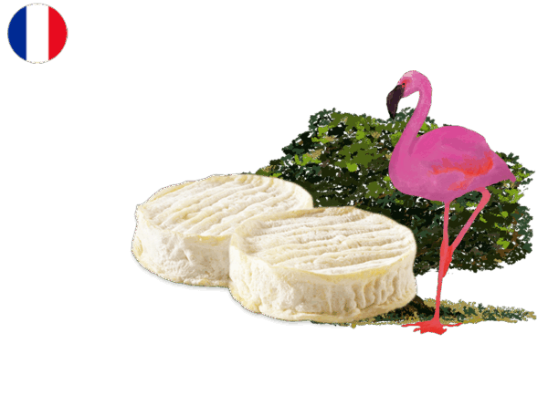 Rocamadour Fermier (x2)
