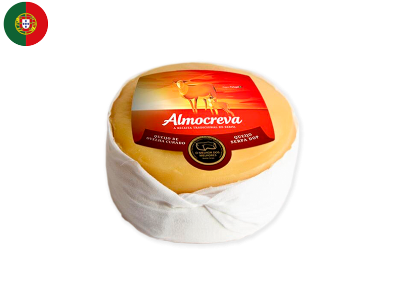 032jxV46AANniQnMBzV5NY.png