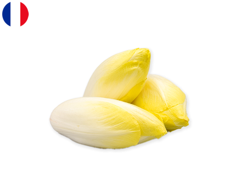 032jxVbsWFjemqKM2QZY2U-7.png