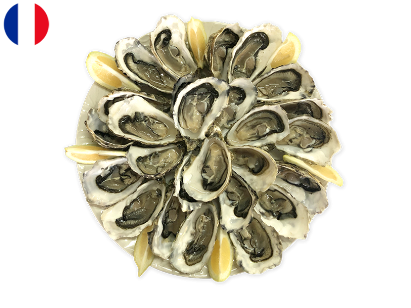 22bAKOSjiGjMBrQoRxCR2N.png