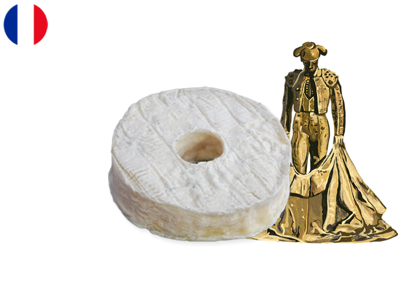 Anneau_du_Vic-Bilh_CANNE01