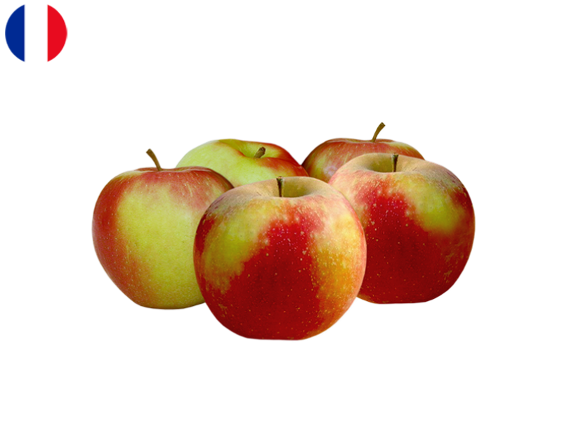 Apple_Dalinette_from_France_(Organic)_FAPPL26