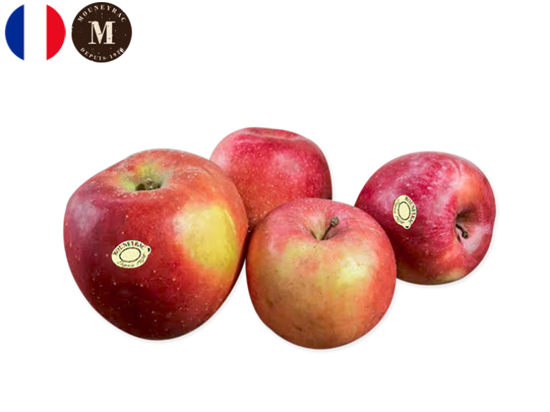 Apple_Fuji_France_Mouneyrac_FAPPL43