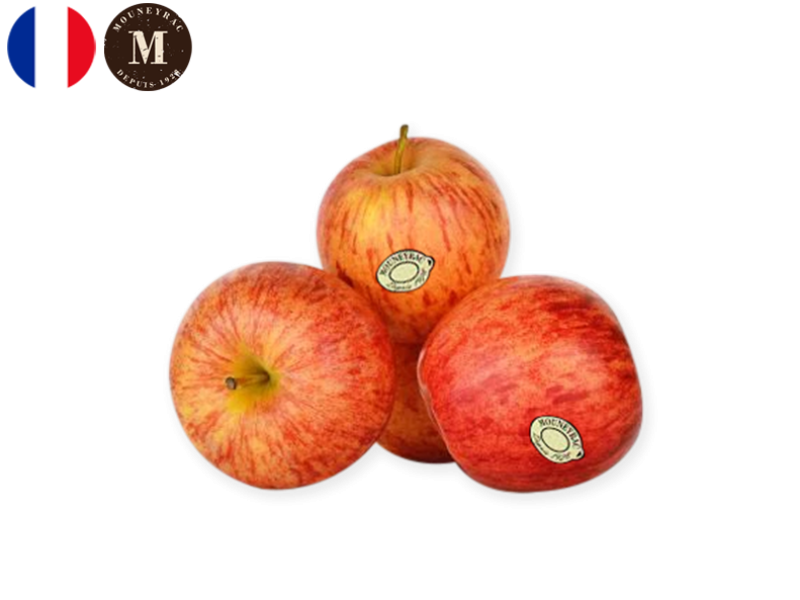Apple_Gala_France_Mouneyrac_FAPPL39