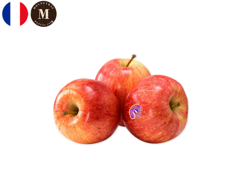 Apple_Gala_France_Mouneyrac_FAPPL48