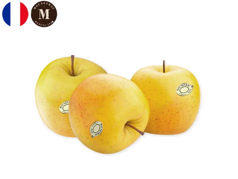 Apple_Golden_France_Mouneyrac_FAPPL41