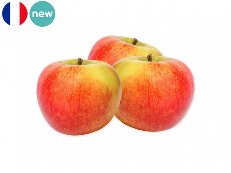 Elstar_Apple_New_FAPPL31
