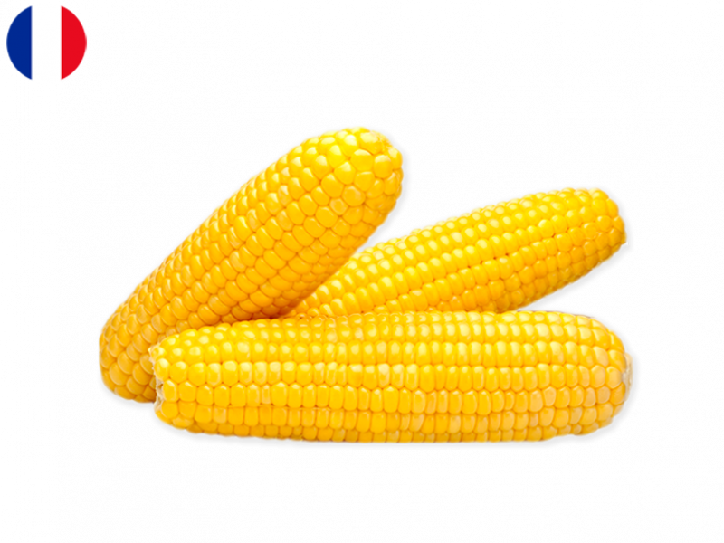 FCORN02