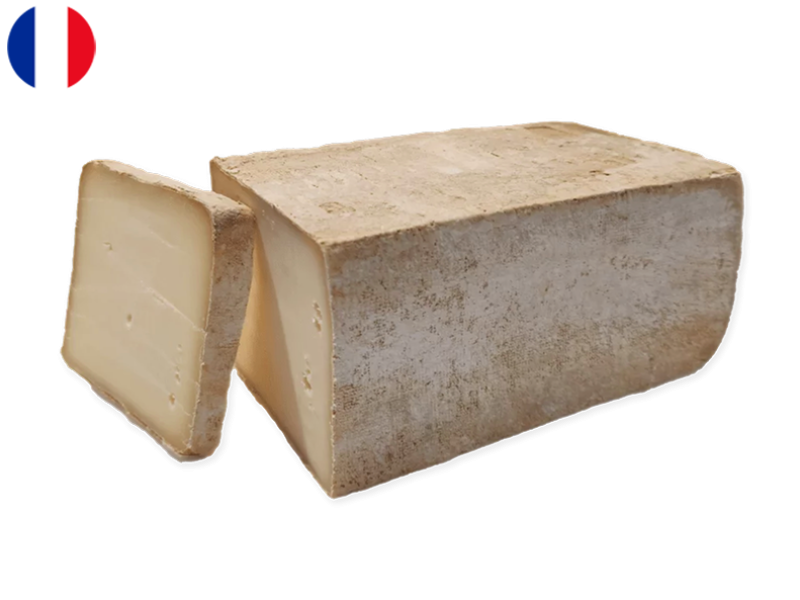 Falaises_du_Blanc_Nez_CFALA01