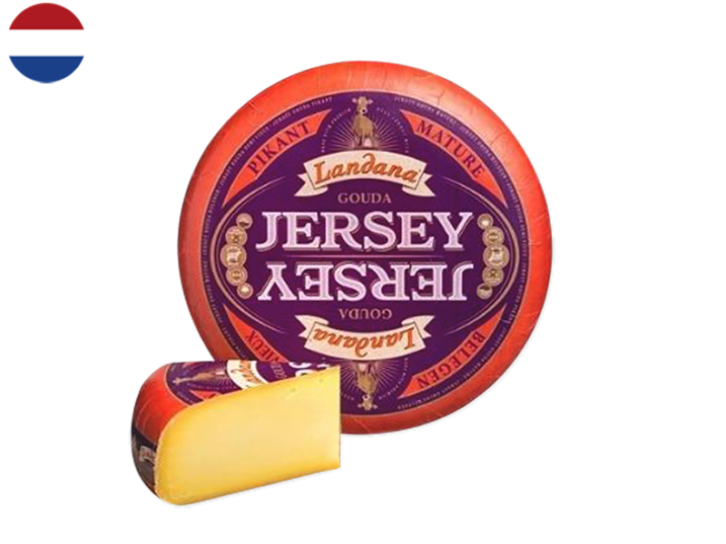 Gouda_Jersey_Matured_CGOUD08