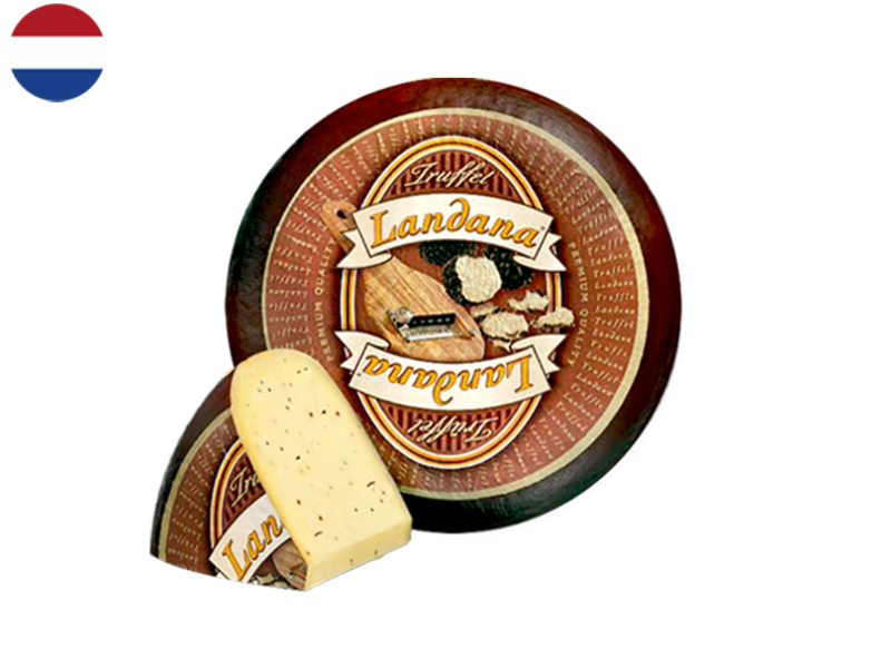 Gouda_with_Black_Truffle_LV_CGOUD05