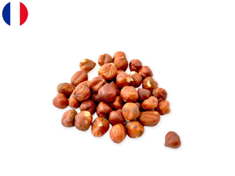 Hazelnut_Kernel_from_France_FNUTS04