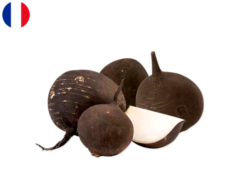 Organic_Black_Round_Radish_FRADI04