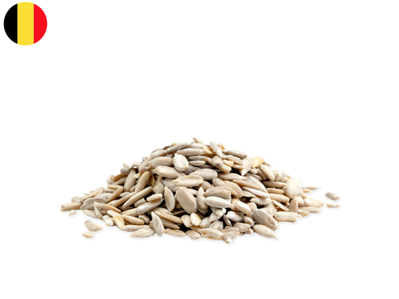 Organic_Sunflower_Seed_New_FSEED02