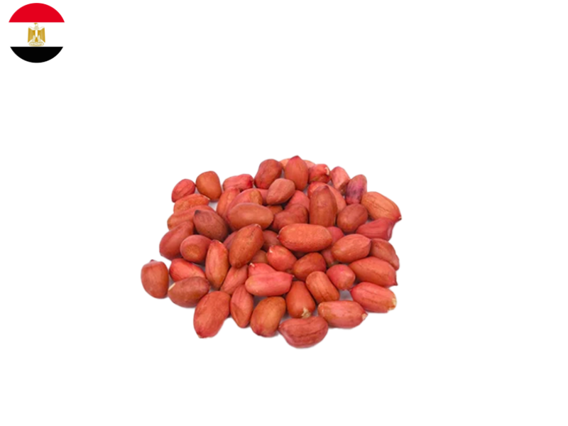 Peanut, Grilled without shell from Egypt (Organic)_FPEAN01