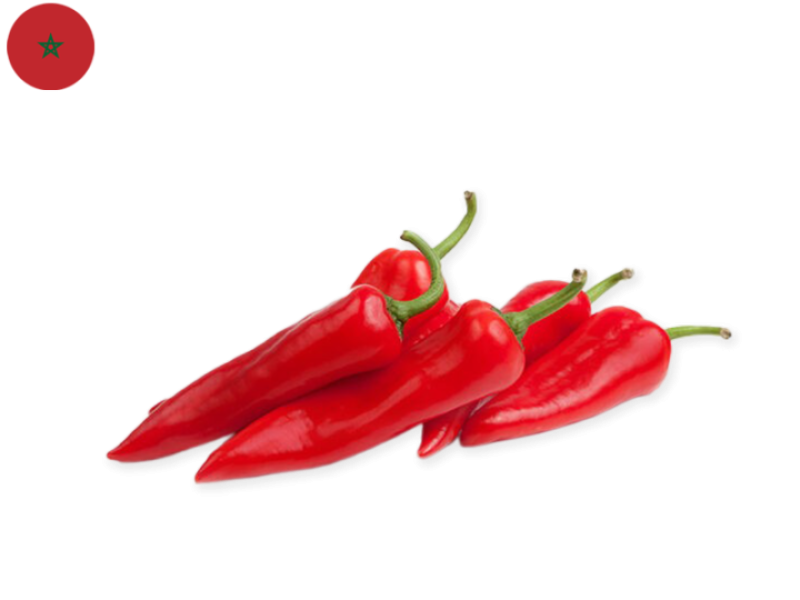 Pepper_Red_Long_Maroc_FPEPP18