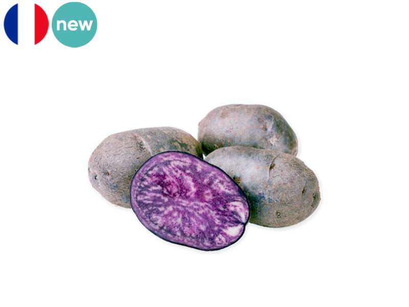 Potato_Bleue_d'Artois_France_FPOTA52