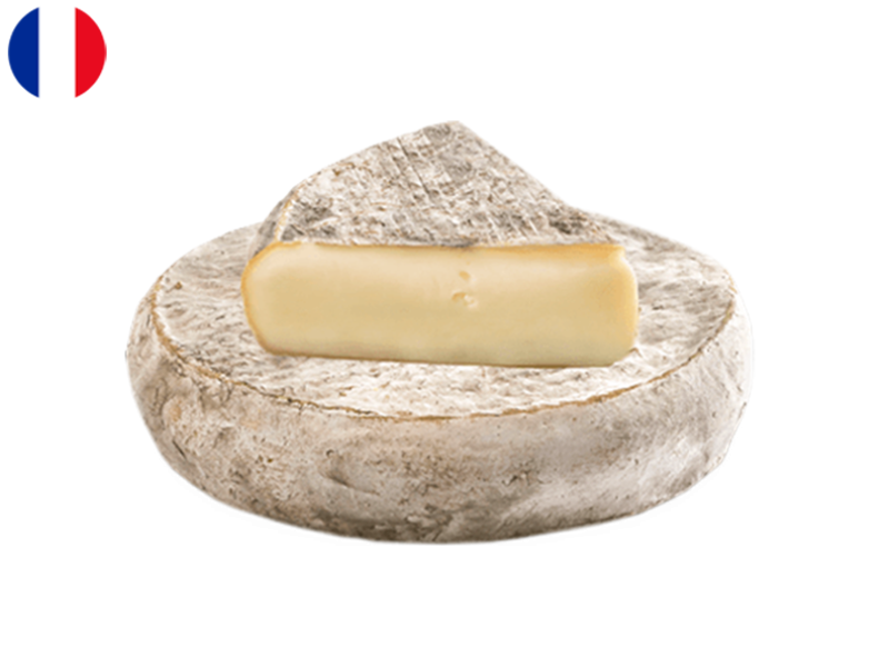 Saint_Nectaire_Fermier_CSTNE01