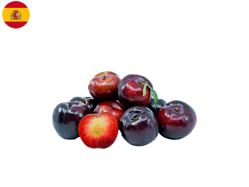 black_splendor_plum_FPLUM10