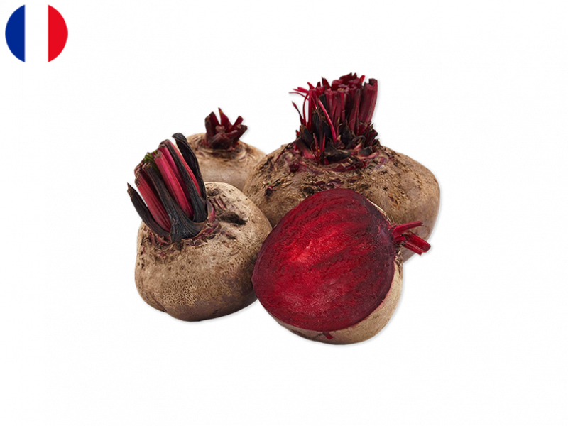 red_beetroot_FBEET04