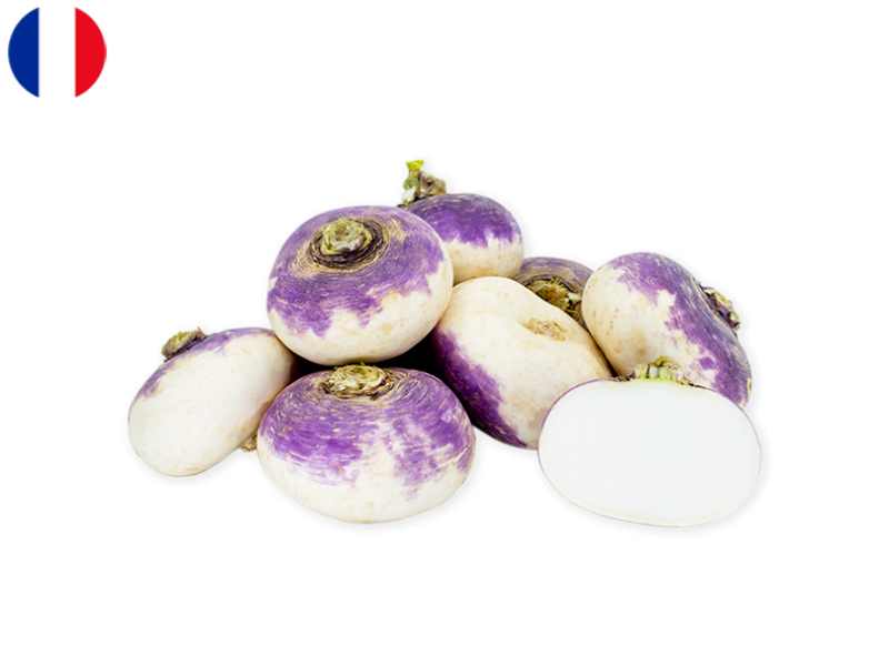 violet_turnip_FTURN02