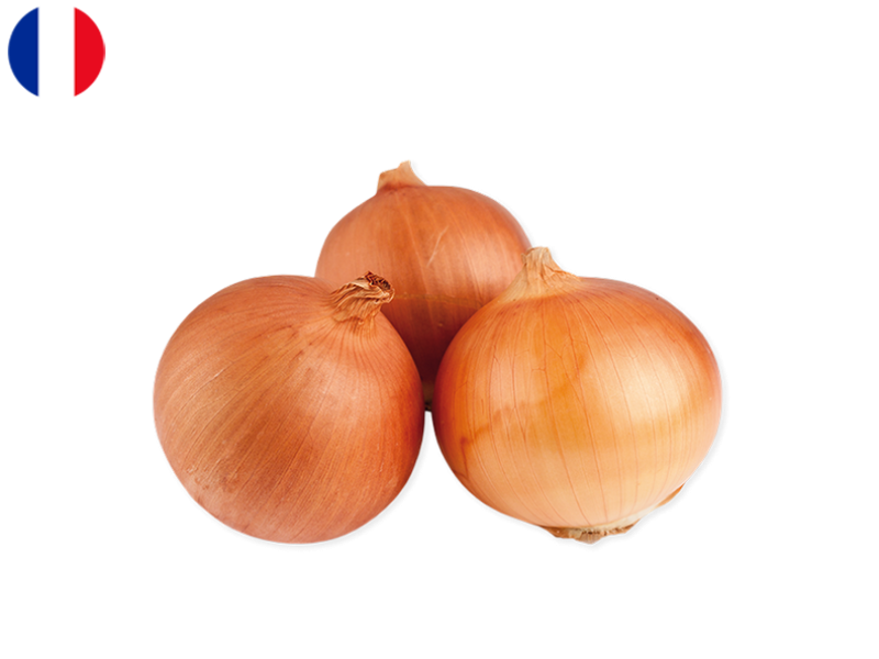 yellow_onion_FONIO10